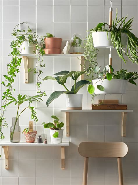 When you're adding <strong>plants</strong> to your home, give them a home of their own in <strong>plant</strong> pots. . Ikea plants